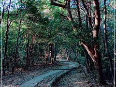 -西湖风景区十里琅珰-五云山