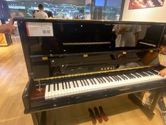 -柏斯音乐艺术中心·钢琴·吉他(世纪金源店)