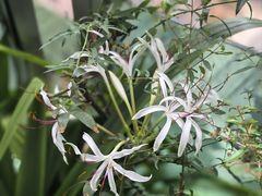 -福州美伦大饭店-中餐厅