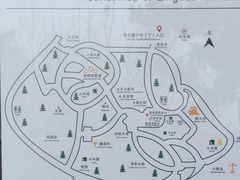 -信号山公园