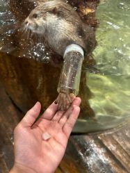 -Zoolung Zoolung动物主题公园(海信广场店)