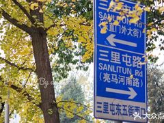 -三里屯东五街银杏大道