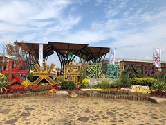 -上海长兴岛郊野公园