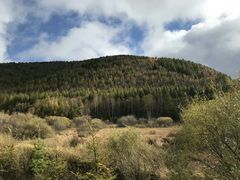 -塞罕坝国家级自然保护区