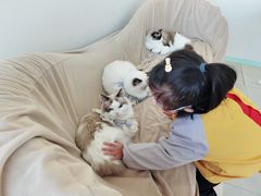 -怪兽屋·羊驼·猫咖·狗咖(俊华广场店)