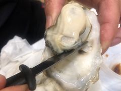 -探秘12时海鲜生蚝排档
