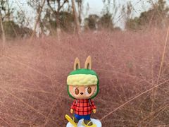 -徐家汇源景区-衡山公园