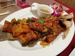-Daddy Nimman Chiang Mai