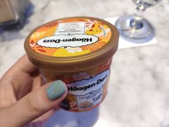 芝士麻薯小纸杯-哈根达斯(武汉天地店)