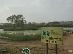 -大兴滨河森林公园