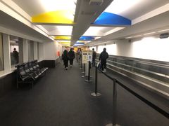 -约翰·菲茨杰拉德·肯尼迪国际机场