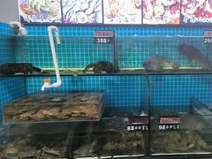 -兆辉木炭海鲜烧烤·海鲜小炒