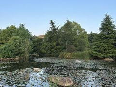 -白马涧龙池景区