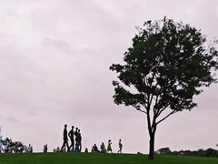 -深圳湾公园(南山区)