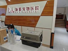 -派联宠物医院·24h·CT·异宠