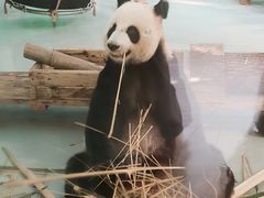 -柳州市动物园