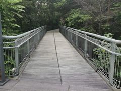 -佛山华盖山公园