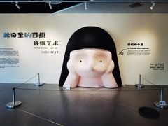 -辰熙ACX星海艺术中心