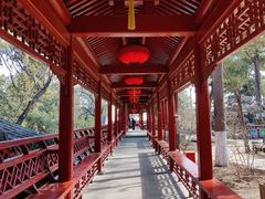 -大觉寺-停车场