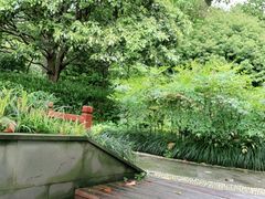 -中国茶叶博物馆(双峰馆区)