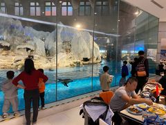 -帝企鹅自助餐厅•儿童岛•真企鹅(长隆企鹅酒店)