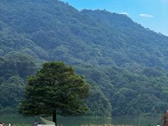 -广州市石门国家森林公园