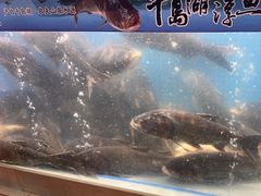 -四季厨房 鲁菜·孔府烤鸭(二环南路店)