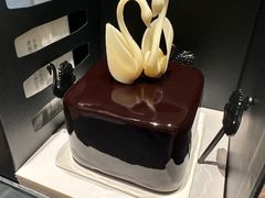 -BLACKSWAN黑天鹅(环球店)