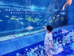 -重庆欢乐海底世界