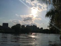 -大兴滨河森林公园