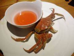 -辣猫龙虾(马泉营店)
