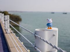 -贡湖湾湿地公园