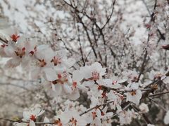 -白水寺森林公园