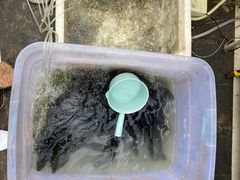 -邛海景风特色火盆烧烤店·烤串(月色风情小镇店)