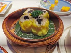 -点都德·毕德寮