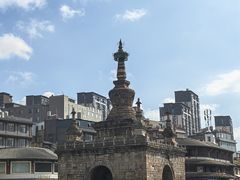 -眼镜粑粑