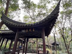 -上海佘山国家森林公园天马山园