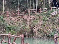 -仙岛湖旅游风景区