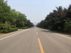 -微山湖红荷湿地景区