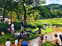 -黄埔油麻山森林公园