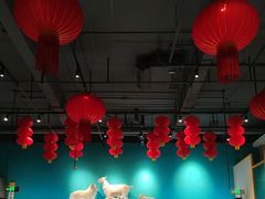 -大白羊蝎子馆(后沙峪山姆店)