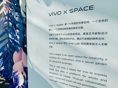 -vivo官方授权体验店(太子路店)