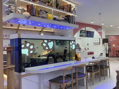 -喵园·猫主题咖啡厅·撸猫·猫咖(国贸店)