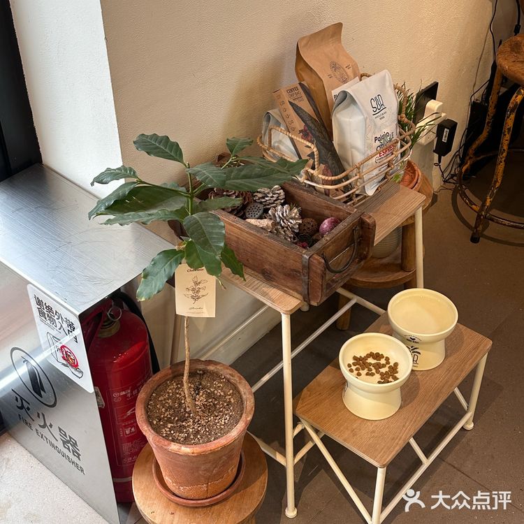 找到了胡同里空间很大的咖啡馆！木质风还有猫！