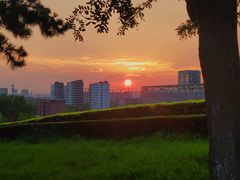 -莫子山公园