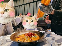 -柿合缘新京菜(国金中心商场店)