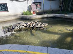 -红螺寺