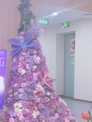 -上海伊莱美医疗美容医院