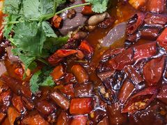 -鸡毛店·川菜(双楠店)