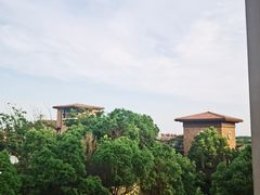 -上海崇明金茂凯悦酒店